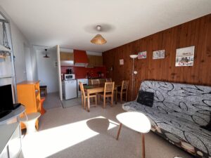 achat immobilier/auvergne/sancy/superbesse/