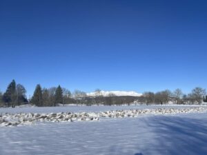 Un corps de ferme dans l'estive/achat/vente immobilier/sancy/auvergne