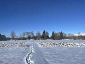 Un corps de ferme dans l'estive/achat/vente immobilier/sancy/auvergne