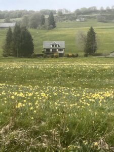 achat immobilier/sancy/superbesse