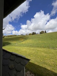 achat immobilier/sancy/superbesse