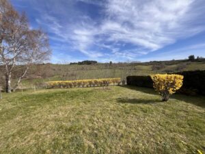 achat/immobilier/sancy/petite maiqson façon chalet