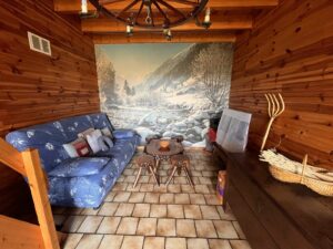 achat/immobilier/sancy/petite maiqson façon chalet