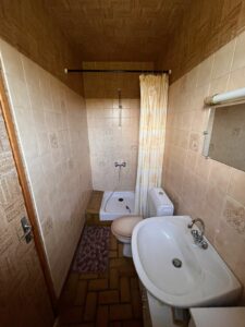 achat/immobilier/sancy/petite maiqson façon chalet