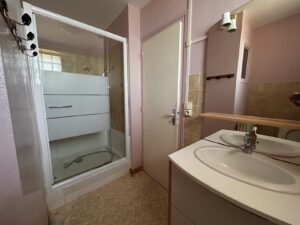 La petite Bessarde et ses deux appartements/ achat immobilier/sancy/superbesse