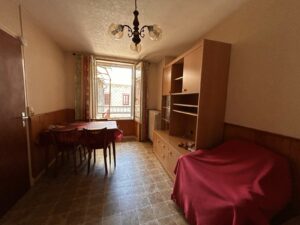 La petite Bessarde et ses deux appartements/ achat immobilier/sancy/superbesse