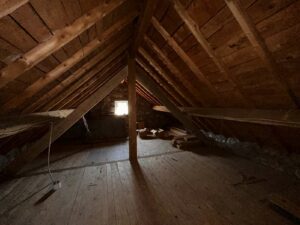 La petite Bessarde et ses deux appartements/ achat immobilier/sancy/superbesse