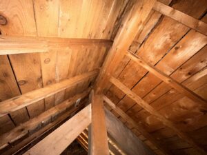 La petite Bessarde et ses deux appartements/ achat immobilier/sancy/superbesse