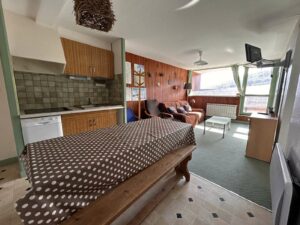 Achat/appartement/sur les pistes/superbesse