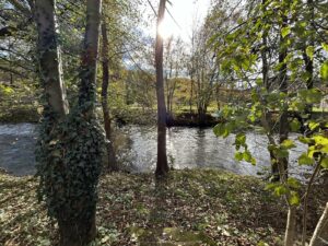 Avec la rivière au bout du jardin/achat immobilier/Sancy