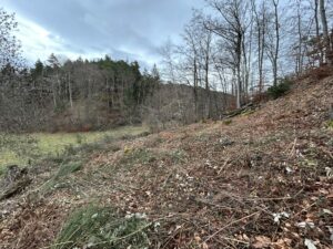 Achat/vente/immobilier/Auvergne/terrain constructible/Murol