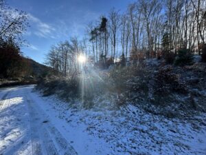 Achat/vente/immobilier/Auvergne/terrain constructible/Murol