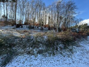 Achat/vente/immobilier/Auvergne/terrain constructible/Murol