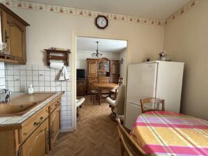 maison et sa cour/achat/vente/immobilier/sancy