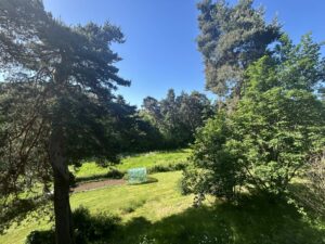 Maison en pierre dans son parc proche superbesse