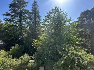 Maison en pierre dans son parc proche superbesse