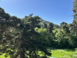 Maison en pierre dans son parc proche superbesse