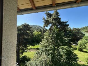 Maison en pierre dans son parc proche superbesse