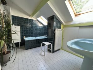 Maison en pierre dans son parc proche superbesse
