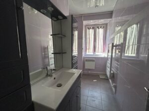 achat/immobilier/auvergne/sancy