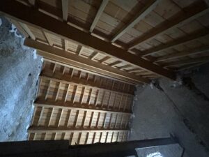 achat/immobilier/auvergne/sancy