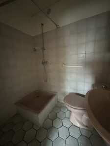 Immobilier/Auvergne/sancy/maison