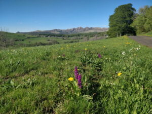 Achat/immobilier/sancy/picherande/auvergne