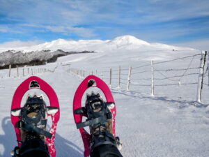 Achat/immobilier/sancy/picherande/auvergne