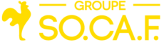 Logo groupe SOCAF